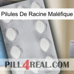 Pilules De Racine Maléfique 16